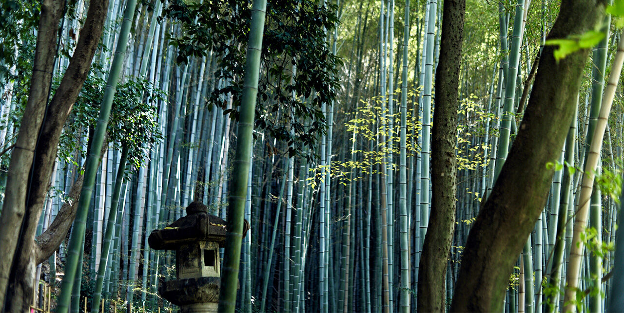 shiroiya_ph04