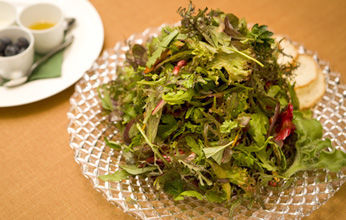 ジャッジョーロ