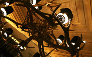 トリュフ・デュ・トリュフ