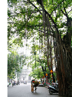 hanoi03