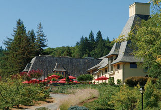 コッポラ,ワイン,ソフィア