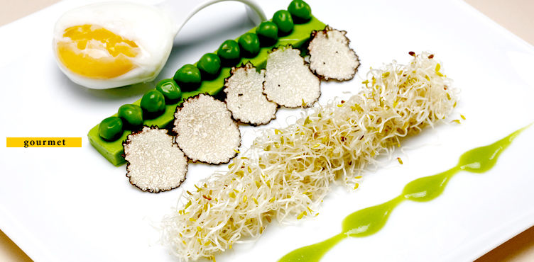 bvlgari_obento