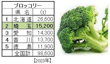 ﾌﾞﾛｯｺﾘ