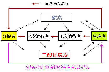 分解者LINK