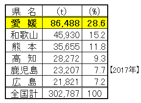 柑橘