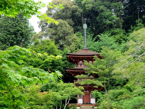 浄瑠璃寺