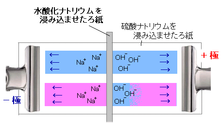 赤色 リトマス 紙 中3理科 イオン 酸とアルカリ 中和まとめと問題 Amp Petmd Com 赤色 リトマス 紙 中3理科 イオン 酸とアルカリ 中和まとめと問題 Amp Petmd Com