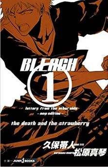 今だからこそ読んで欲しいbleachの外伝小説を紹介 伏線回収や未公開卍解や本当の最終決戦などが見れる 魔王の引き出し 今だからこそ読んで欲しいbleachの外伝小説を紹介 伏線回収や未公開卍解や本当の最終決戦などが見れる 魔王の引き出し