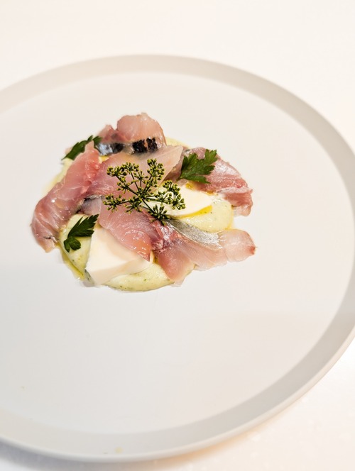 PXL_20240704_093729884