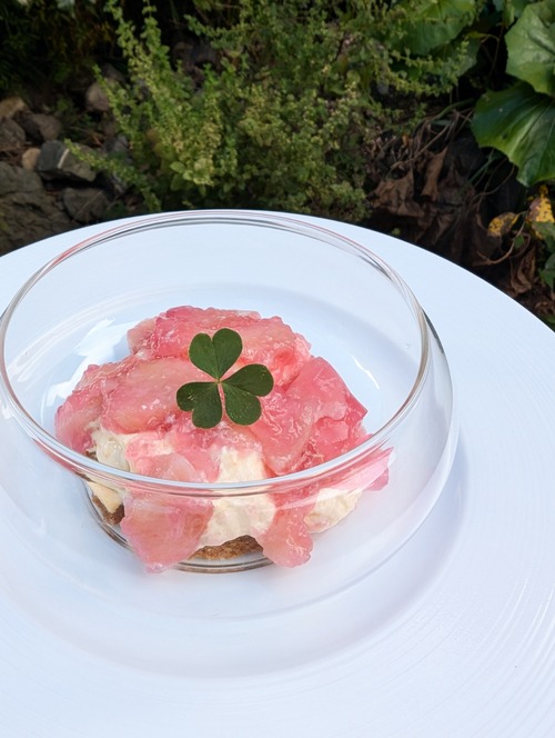 PXL_20240815_073227291 (1)