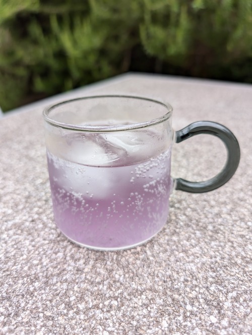 PXL_20240710_025923976