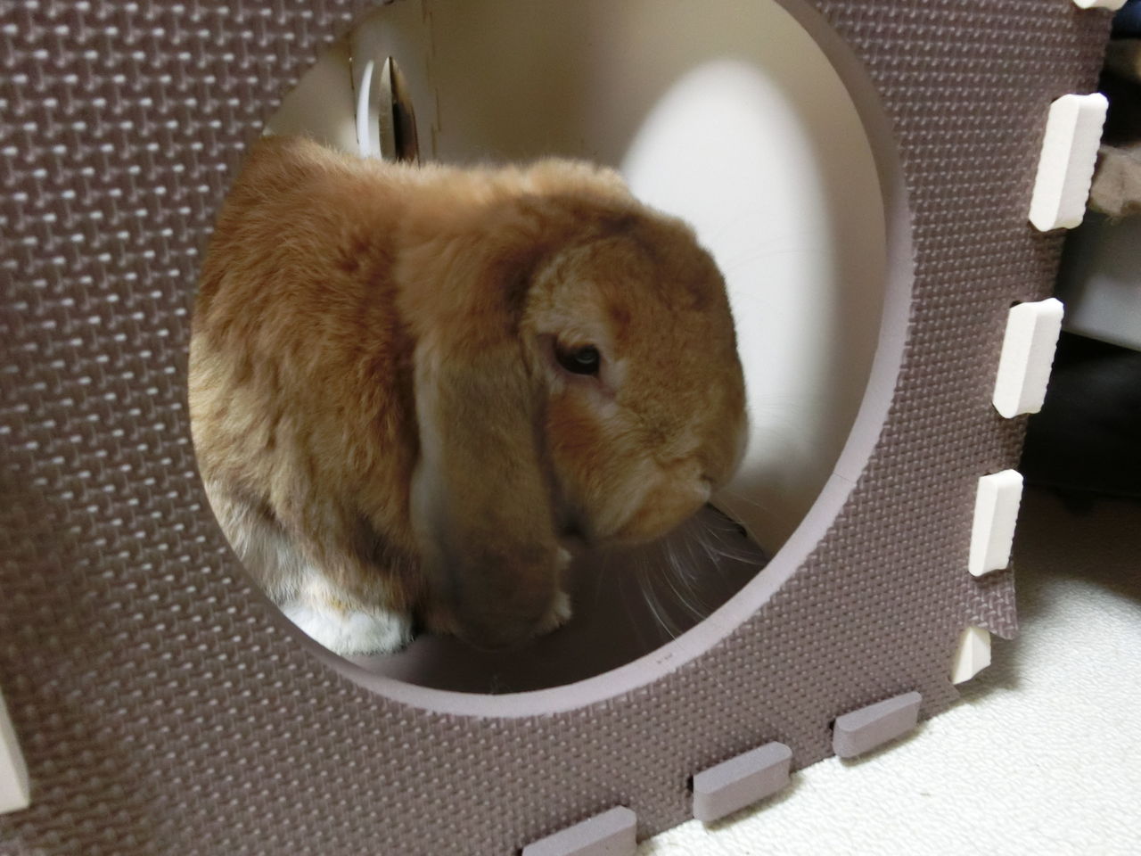 隠れ家的なやつ D S Blog