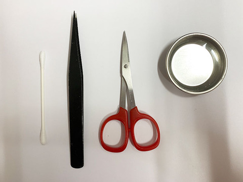 写真-2019-01-15-12-03-58