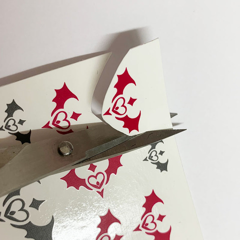 写真-2019-01-15-11-35-53