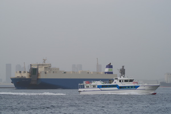 鳥丸 みどり丸 : Sea Road