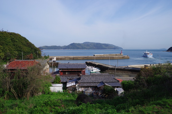 おおしま : Sea Road