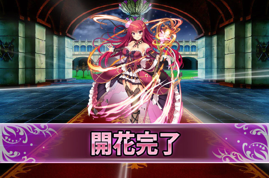 カトレアの開花 Flower Knight Girl 花騎士な日々 Flower Knight Girl