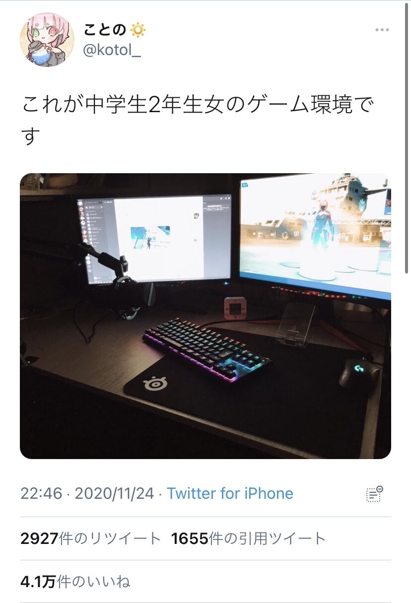 悲報 Jcさん ゲーム環境を晒した結果 なんj民にぶちギレられて謝罪させられてしまう がらくた速報