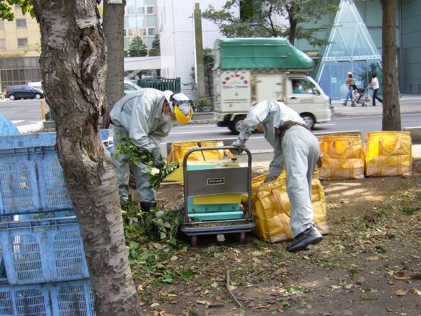 剪定枝のチップ化作業 大通公園 時々 海外暮らし