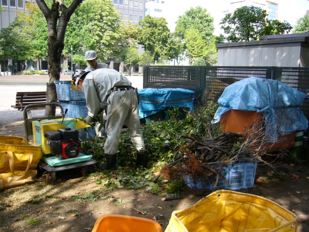 剪定枝のチップ化作業 大通公園 時々 海外暮らし