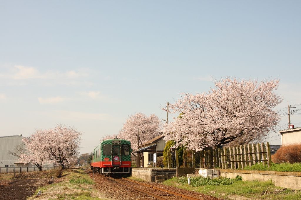 4 15 お立ち台通信 真岡鉄道 寺内駅周辺 バイク旅日記 改 4 15 お立ち台通信 真岡鉄道 寺内駅周辺 バイク旅日記 改