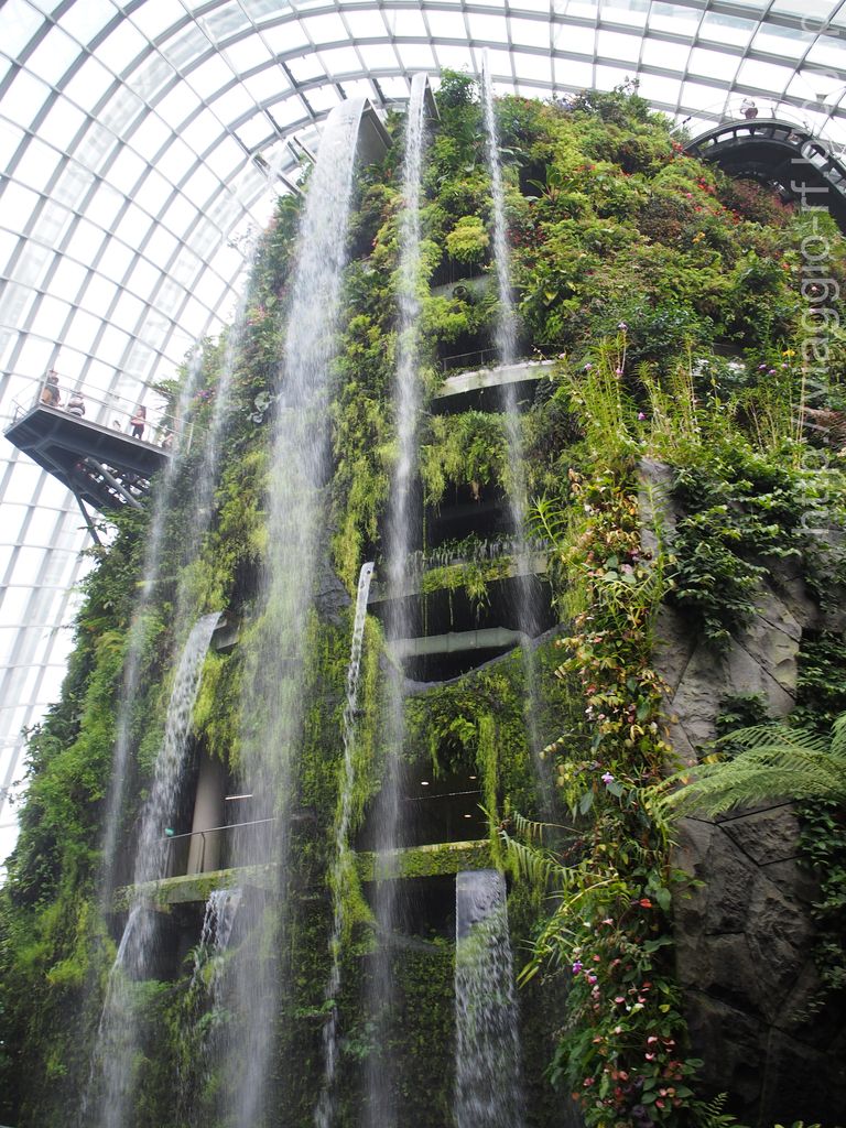 ガーデンズ バイ ザ ベイのクラウドフォレストは大きな滝と植物がキレイ Viaggio 旅好きレナの旅日記 ガーデンズ バイ ザ ベイのクラウドフォレストは大きな滝と植物がキレイ Viaggio 旅好きレナの旅日記