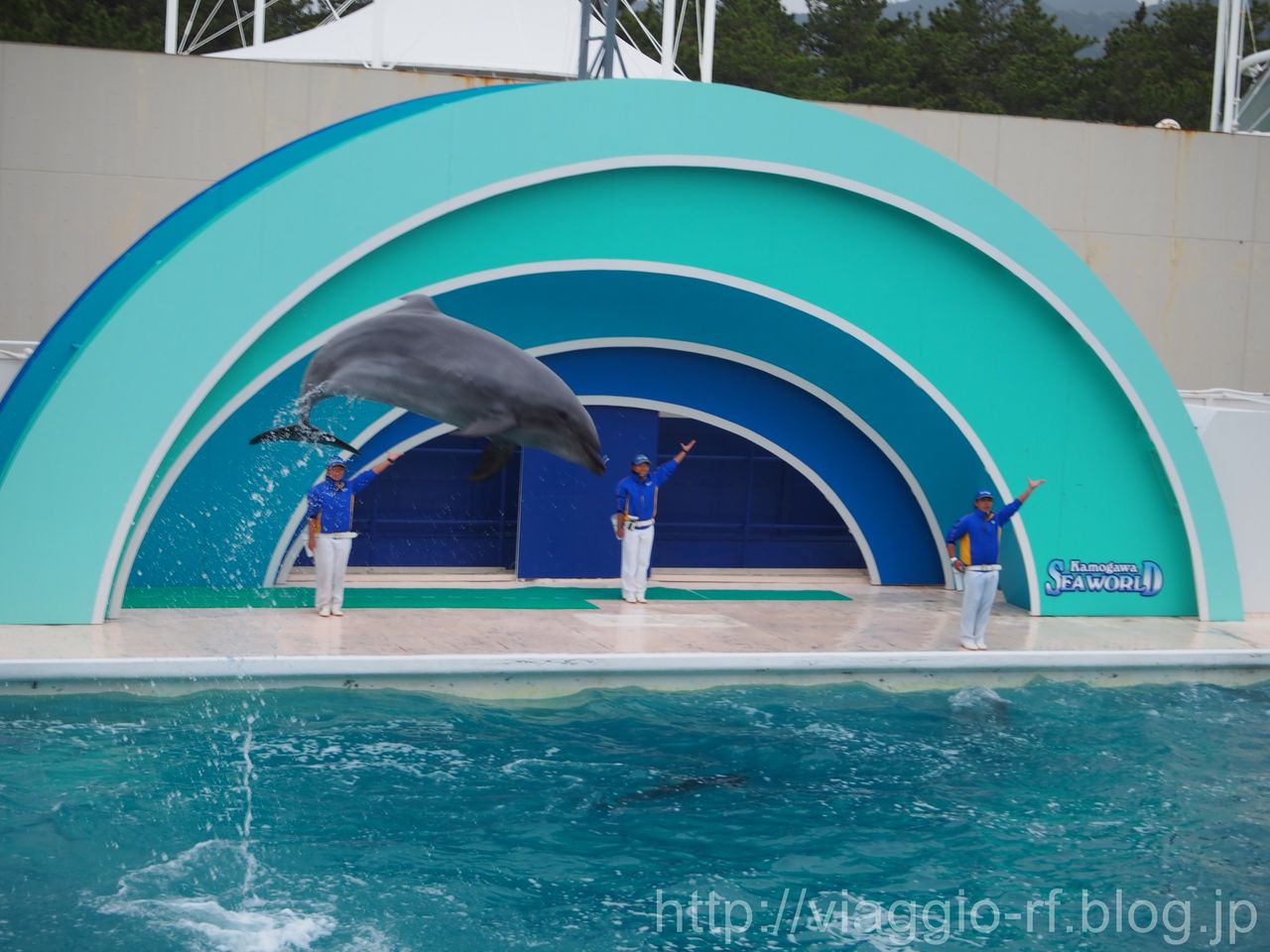 鴨川シーワールド シャチのショーとかいろいろ Viaggio 旅好きレナの旅日記