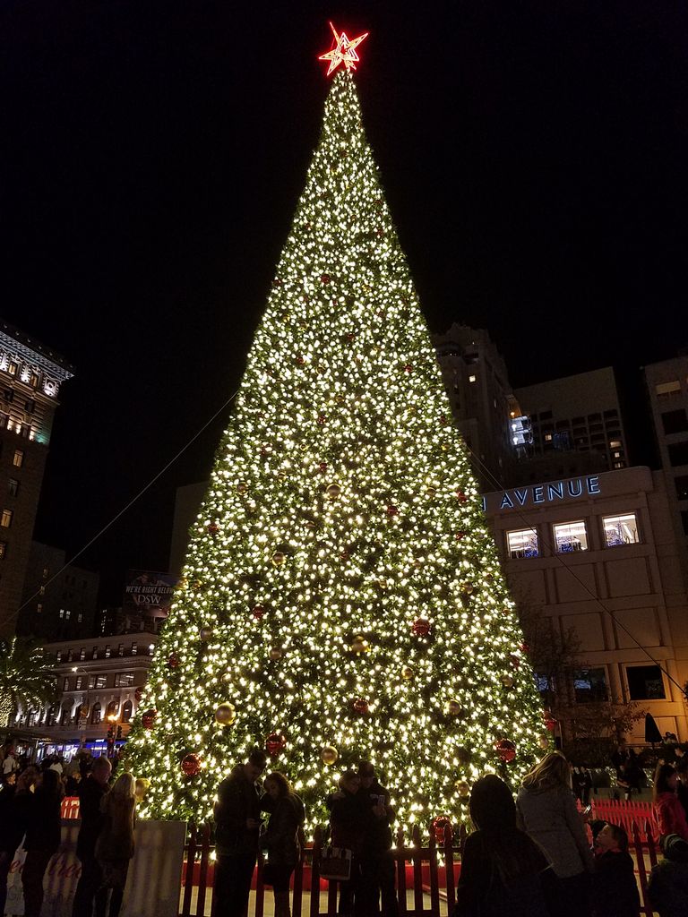 サンフランシスコのクリスマスイルミネーション アラフィフ国際結婚 ハワイからサンノゼへ サンフランシスコのクリスマスイルミネーション アラフィフ国際結婚 ハワイからサンノゼへ