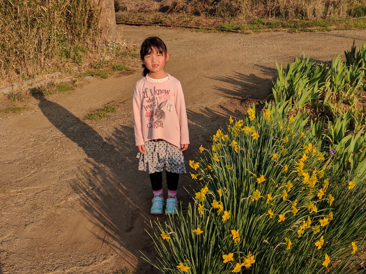 春盛る はるさかる Npo住宅地盤診断センター 事務局のブログ