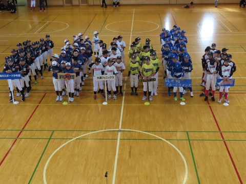 line_1321658394295946