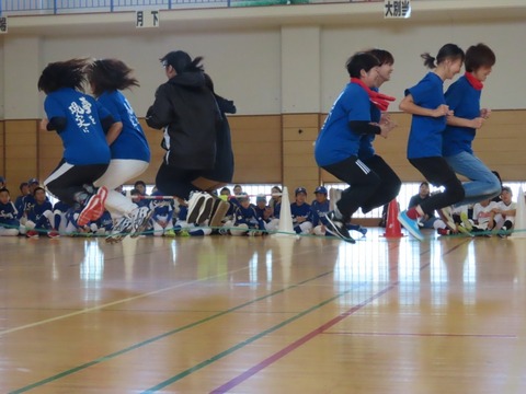 line_1321610372728985