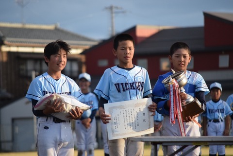 line_781206789193392