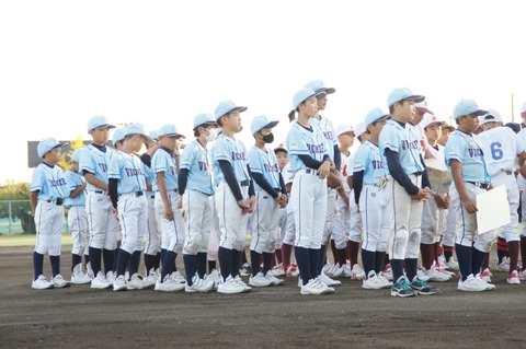 line_568724011488776