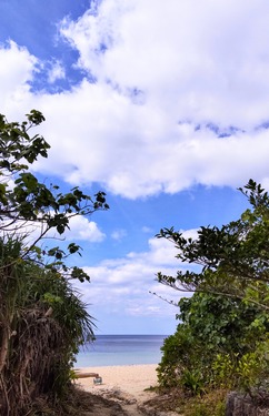 DSC_0239