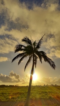 DSC_0192