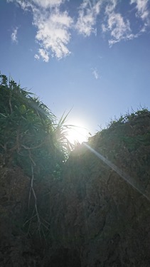 DSC_1012