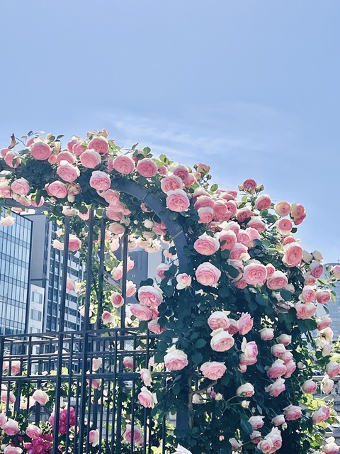 DA025E1D-F62F-4D1D-8560-4A84F127F5D2