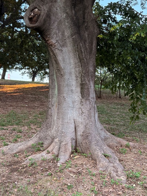 3F4F4FE0-D733-4FDD-88CE-265BAF4D13C0