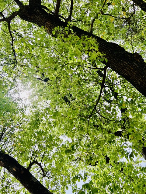 714B3147-32FB-475C-83F7-F47204BFAC02