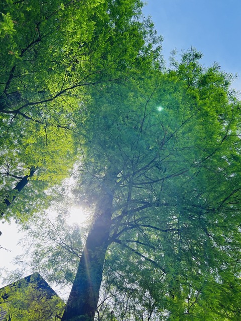 A23D6FB8-B529-49CE-9B30-E4C67F81CCB9