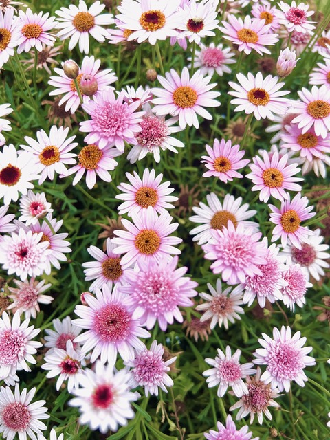 6EC5C158-FFEF-4910-AE78-C02755A4D4CB