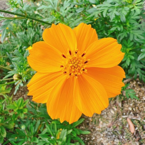 492047186_29177084695273375_2558785181085803567_n