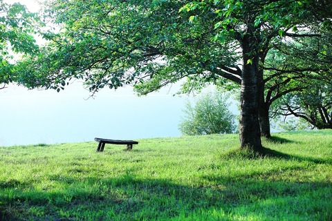 0a48bc7d80ed48d7dfdcb6d475a0b9e4_m