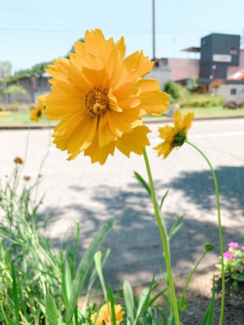 o1108147814955282268