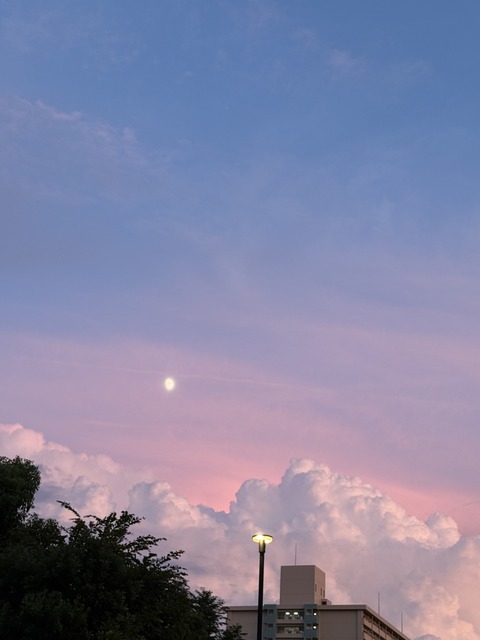 C5FA400E-BED5-4F6E-A06D-0F86143A2FB4