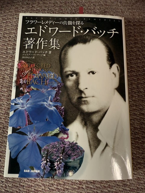 124958FE-DD00-4403-BE98-79E04B72443B