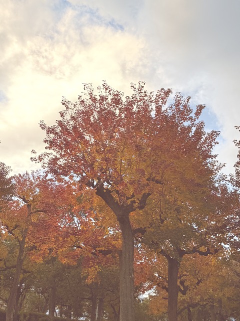 8985941B-2B6E-472B-8E32-4567036F3758