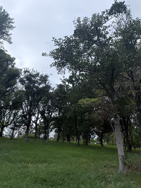 BD37585A-C5D2-4522-AE15-8D52C98EC81F