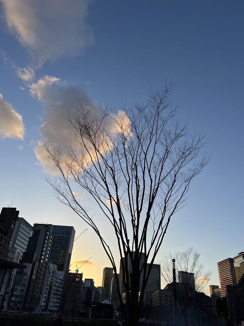 429571033_24848275088154379_5010156355234606796_n