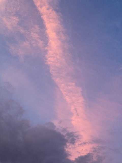 D8F38042-F3AD-4E17-BC19-156B896D1F9C